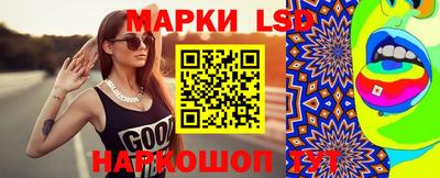индика Кинель
