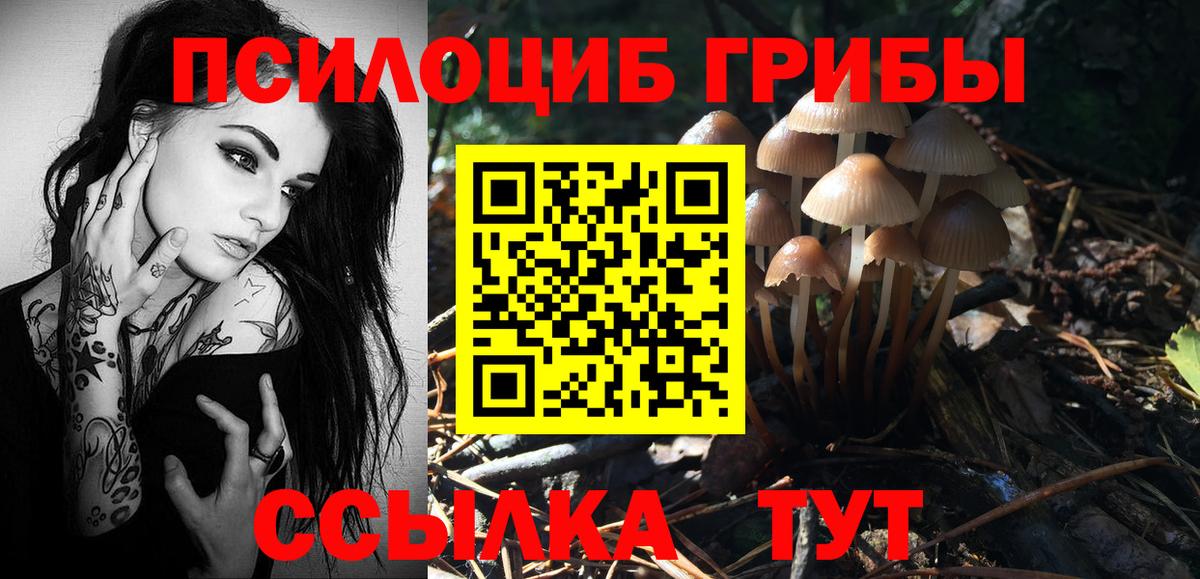 Псилоцибиновые грибы мухоморы Кимры